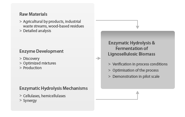 Ethanol Technology