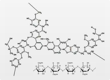 Cornstarch Molecular Structure